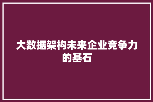 大数据架构未来企业竞争力的基石