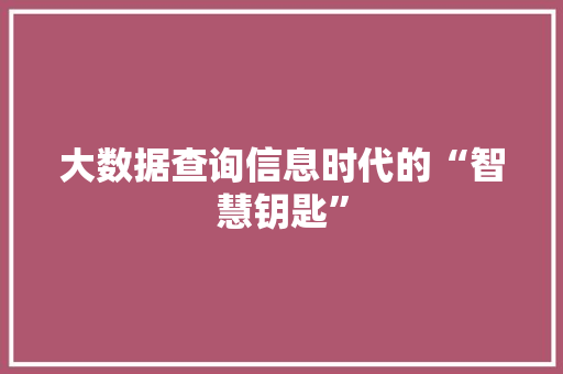 大数据查询信息时代的“智慧钥匙” Web前端
