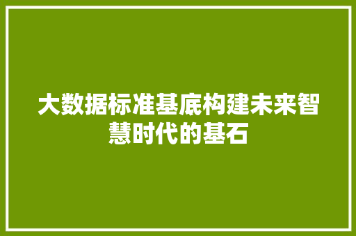 大数据标准基底构建未来智慧时代的基石 建站教程