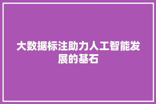 大数据标注助力人工智能发展的基石
