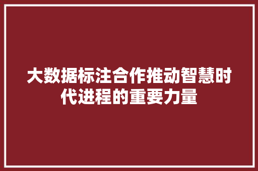 大数据标注合作推动智慧时代进程的重要力量