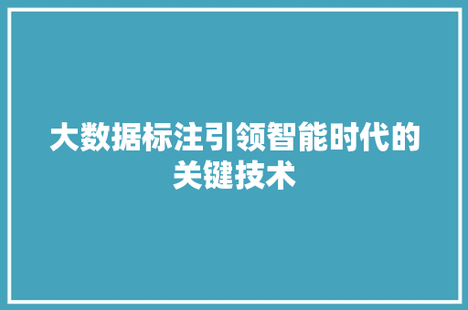 大数据标注引领智能时代的关键技术