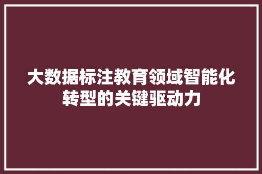 大数据标注教育领域智能化转型的关键驱动力