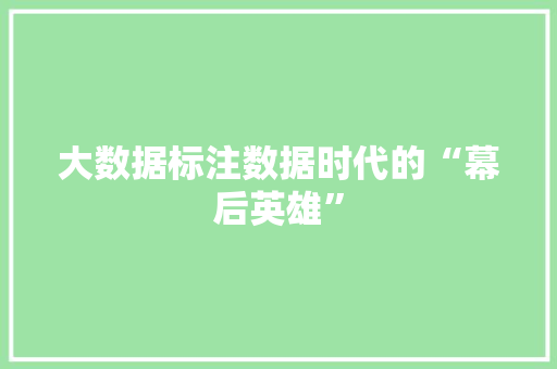 大数据标注数据时代的“幕后英雄”