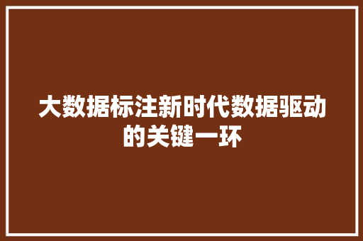 大数据标注新时代数据驱动的关键一环