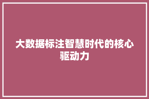 大数据标注智慧时代的核心驱动力