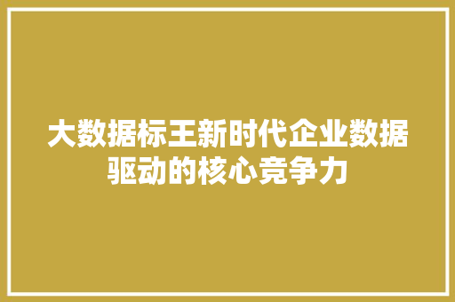 大数据标王新时代企业数据驱动的核心竞争力