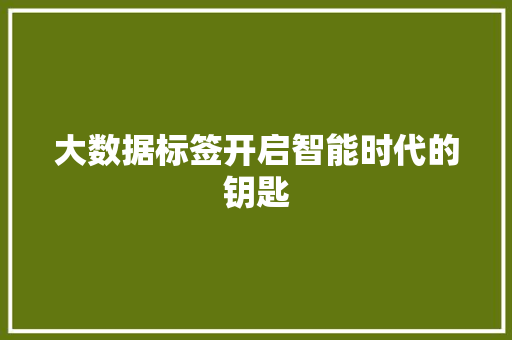 大数据标签开启智能时代的钥匙