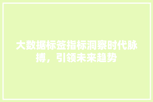 大数据标签指标洞察时代脉搏，引领未来趋势