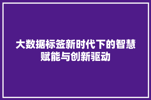 大数据标签新时代下的智慧赋能与创新驱动
