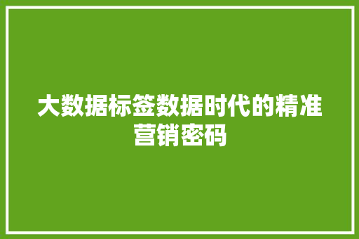大数据标签数据时代的精准营销密码