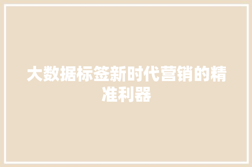 大数据标签新时代营销的精准利器