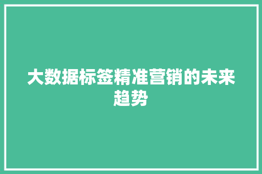 大数据标签精准营销的未来趋势