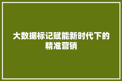 大数据标记赋能新时代下的精准营销
