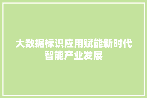 大数据标识应用赋能新时代智能产业发展