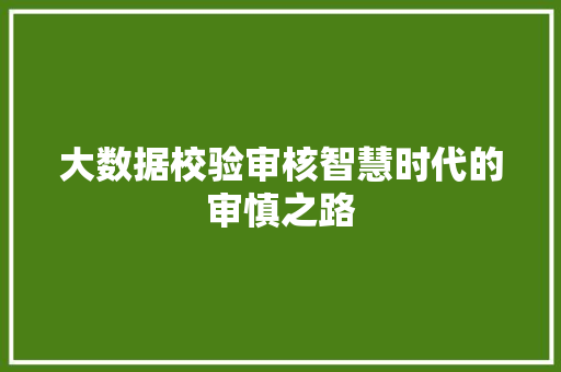 大数据校验审核智慧时代的审慎之路