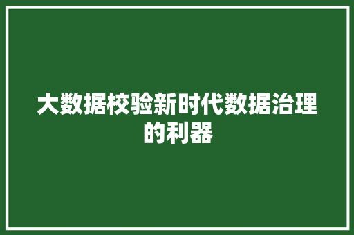 大数据校验新时代数据治理的利器