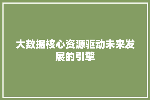 大数据核心资源驱动未来发展的引擎
