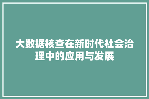 大数据核查在新时代社会治理中的应用与发展