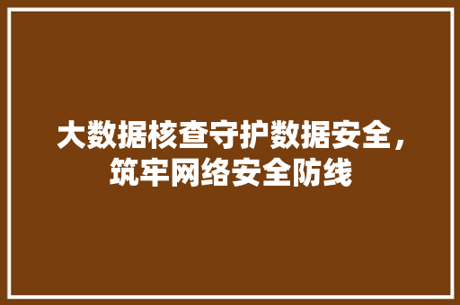大数据核查守护数据安全，筑牢网络安全防线