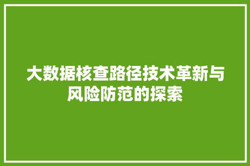 大数据核查路径技术革新与风险防范的探索