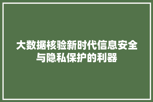 大数据核验新时代信息安全与隐私保护的利器