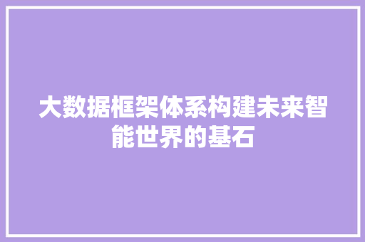 大数据框架体系构建未来智能世界的基石