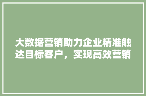 大数据营销助力企业精准触达目标客户，实现高效营销