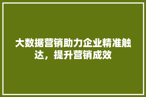 大数据营销助力企业精准触达，提升营销成效