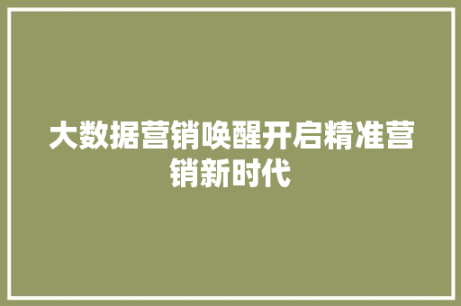 大数据营销唤醒开启精准营销新时代