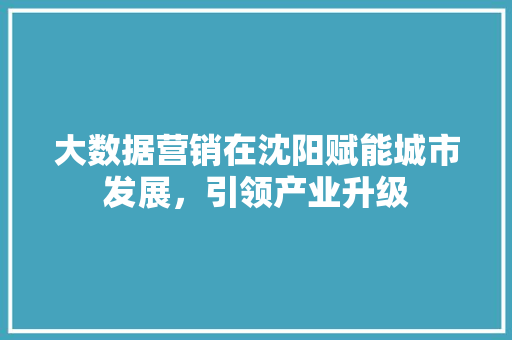 大数据营销在沈阳赋能城市发展，引领产业升级