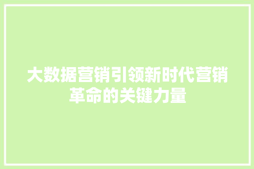 大数据营销引领新时代营销革命的关键力量 服务器/数据库