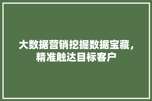 大数据营销挖掘数据宝藏，精准触达目标客户