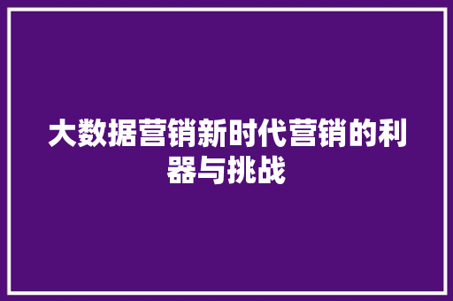 大数据营销新时代营销的利器与挑战