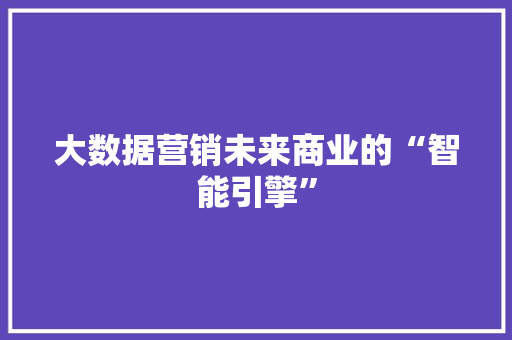 大数据营销未来商业的“智能引擎”