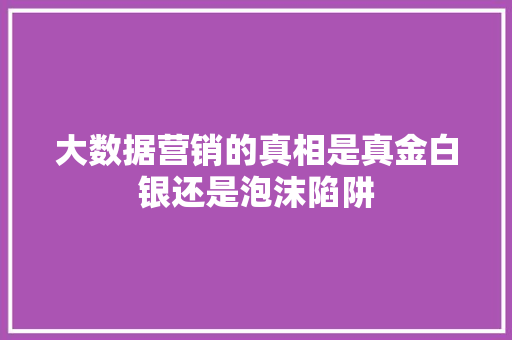 大数据营销的真相是真金白银还是泡沫陷阱