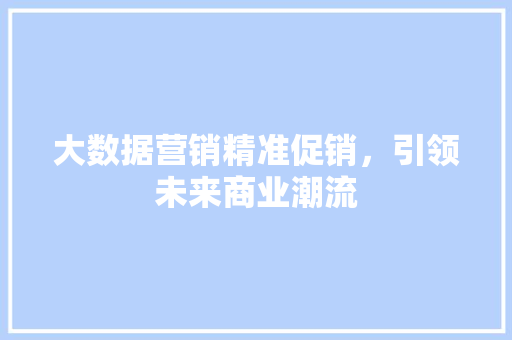 大数据营销精准促销，引领未来商业潮流