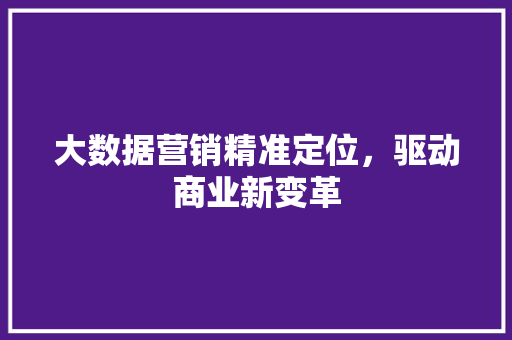 大数据营销精准定位，驱动商业新变革