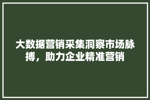 大数据营销采集洞察市场脉搏，助力企业精准营销