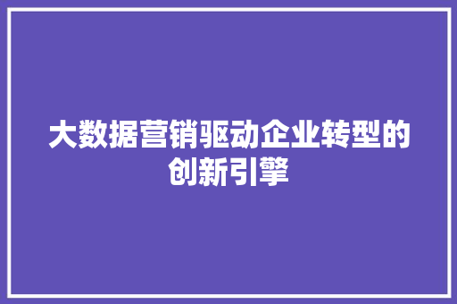 大数据营销驱动企业转型的创新引擎