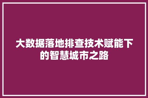 大数据落地排查技术赋能下的智慧城市之路