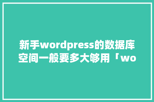 新手wordpress的数据库空间一般要多大够用「wordpress入门教程」 新手wordpress的数据库空间一般要多大够用「wordpress入门教程」 建站教程