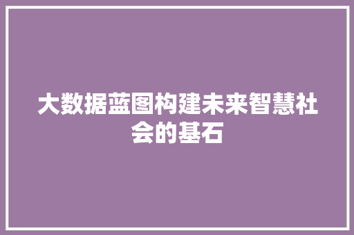 大数据蓝图构建未来智慧社会的基石