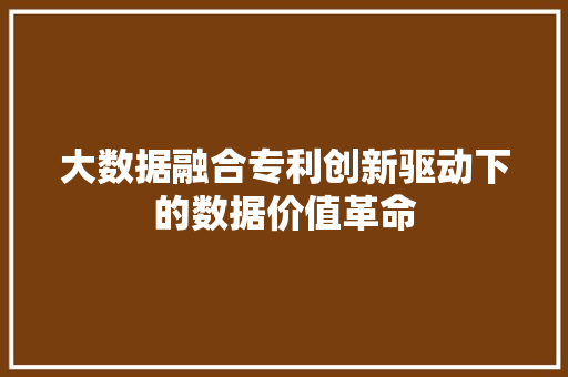 大数据融合专利创新驱动下的数据价值革命