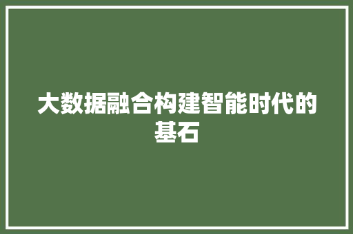 大数据融合构建智能时代的基石