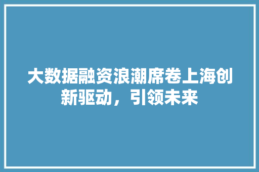 大数据融资浪潮席卷上海创新驱动，引领未来