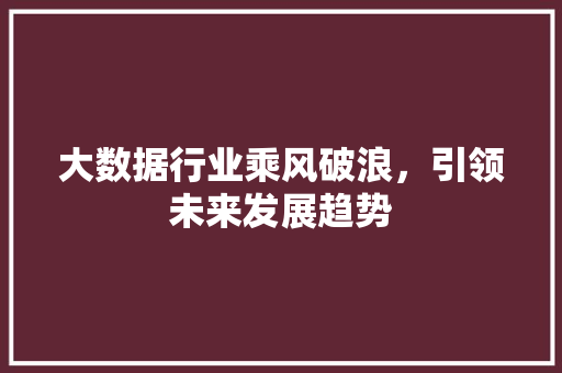 大数据行业乘风破浪，引领未来发展趋势
