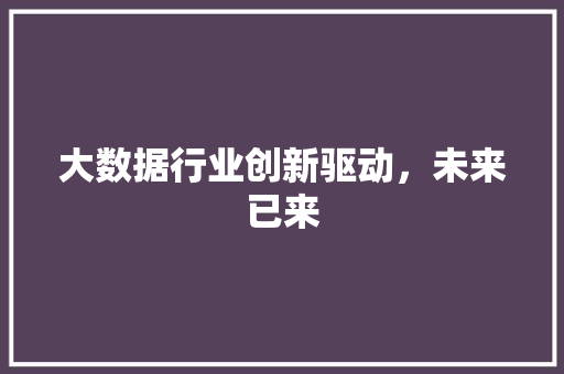 大数据行业创新驱动，未来已来