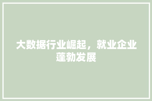 大数据行业崛起，就业企业蓬勃发展