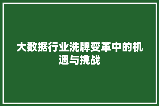 大数据行业洗牌变革中的机遇与挑战
